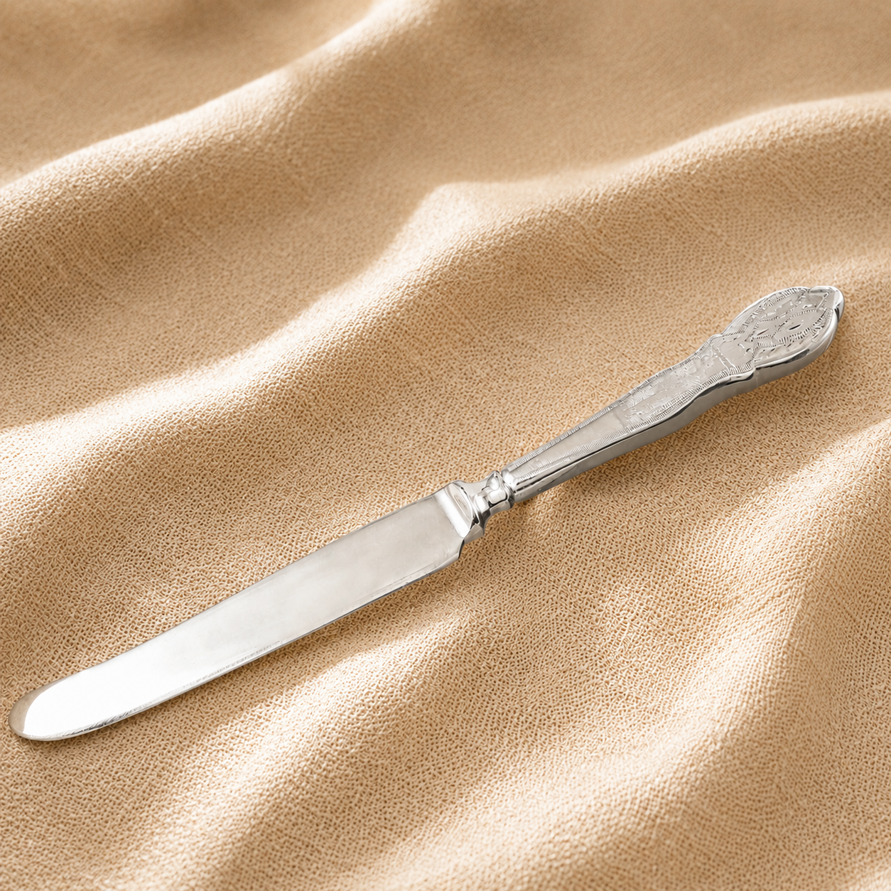 Classy Silver Knife