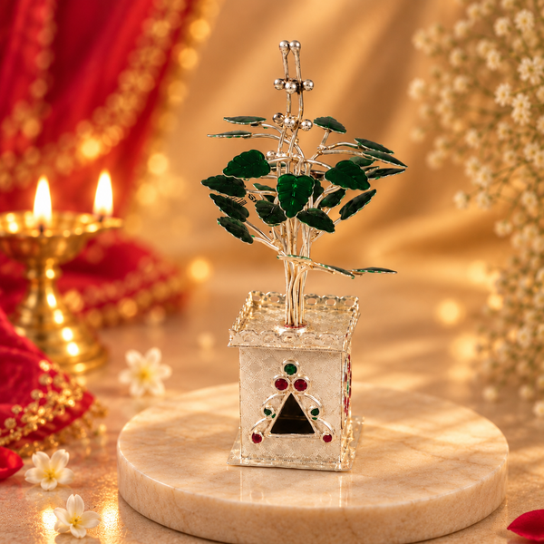 Divine Silver Tulsi Plant