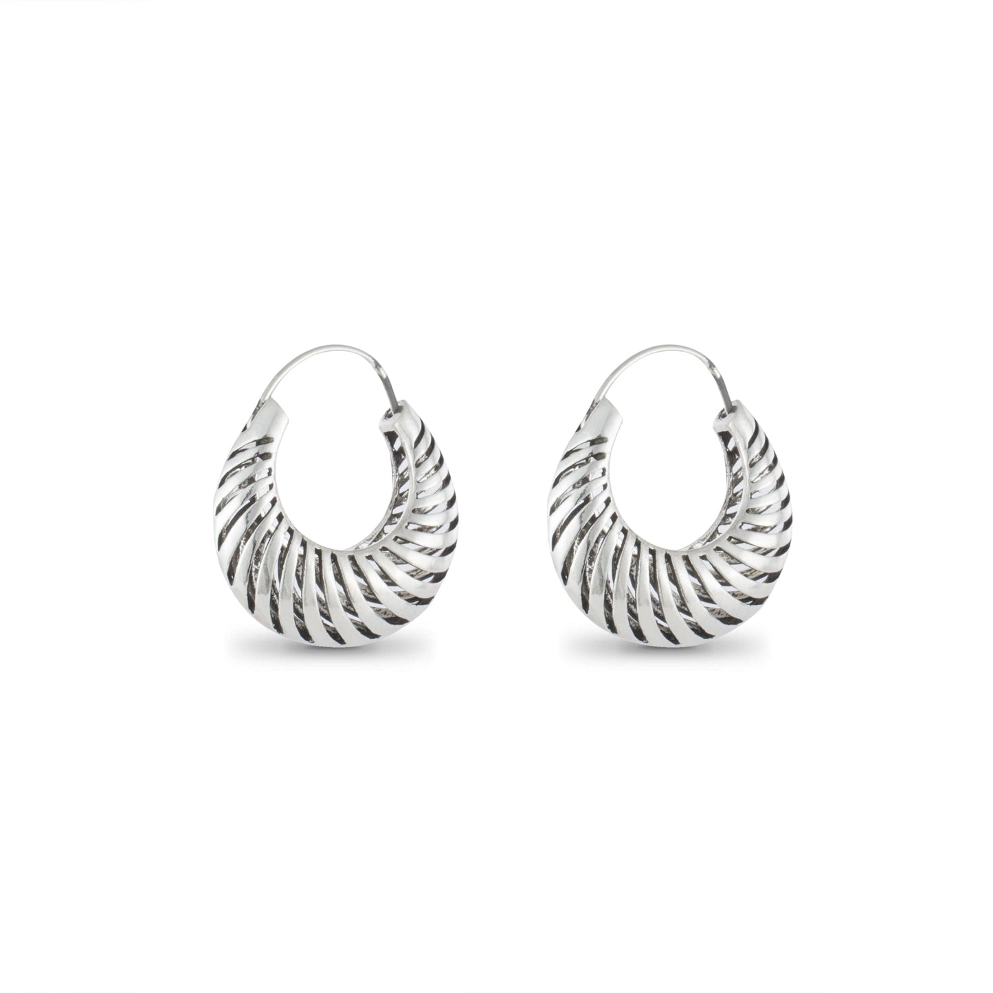 Tripti Fancy Silver Earring