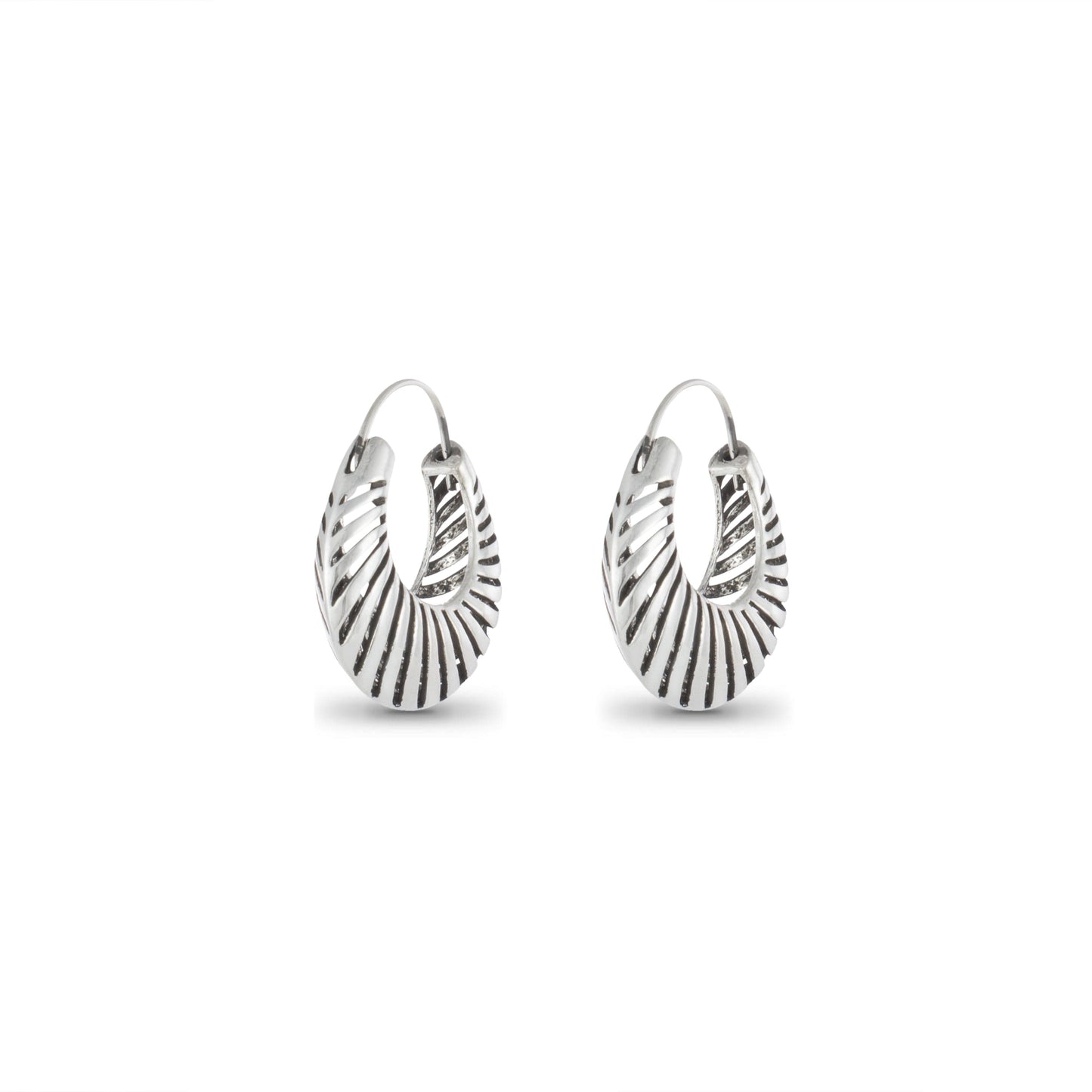 Tripti Fancy Silver Earring