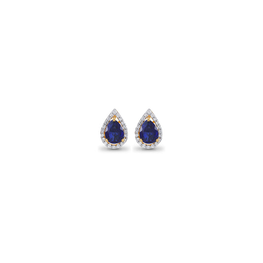 Rubina Elegant Diamond Earrings