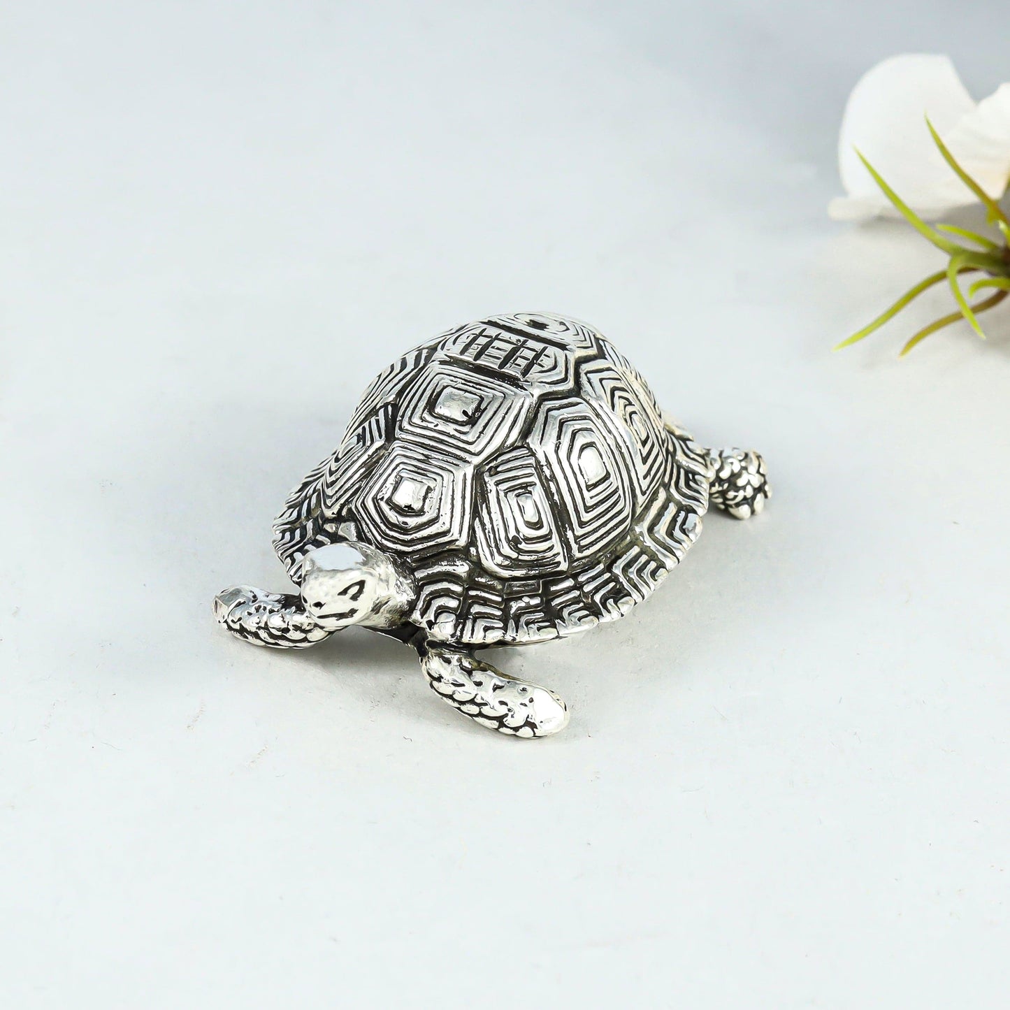 Classy Silver Tortoise