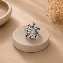 Dhruv Turtle Design Silver Ring For Him