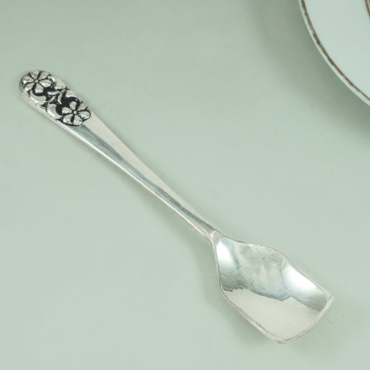 Classy Silver Spoon