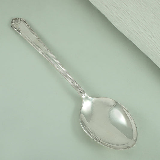 Timeless Silver Spoon