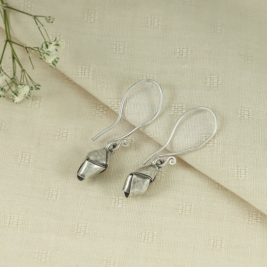 Pleasing Silver Earrings