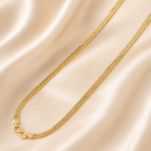Pranav Double Rope Gold Chain For Him