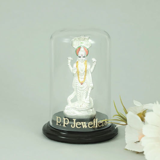 Alluring Narayan Silver Idol