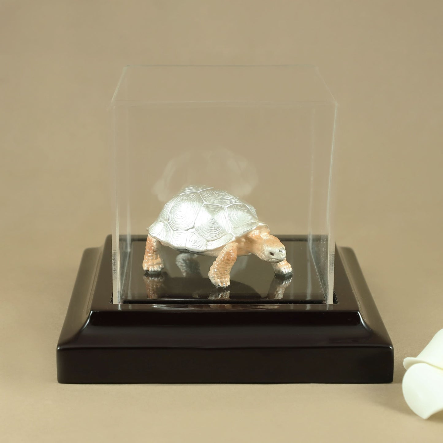 Classy Tortoise Silver Idol