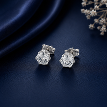 Alina Dazzling Crystal Silver Earrings