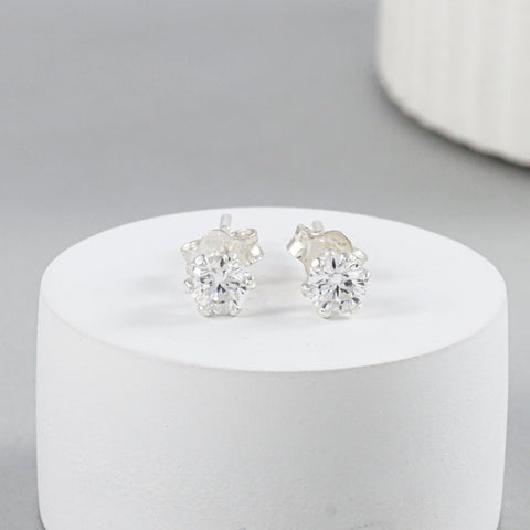 Aarohi White Chic White Silver Earrings