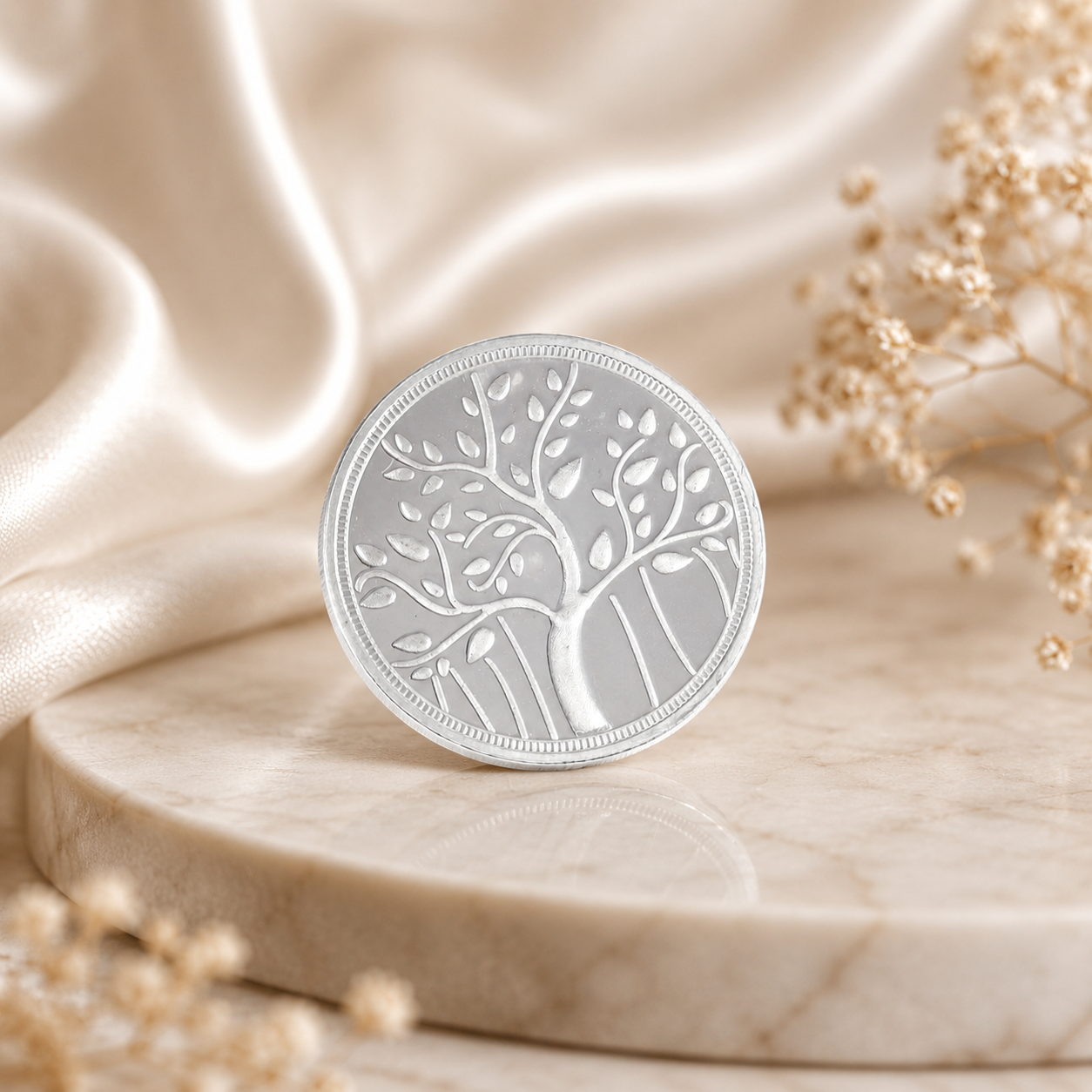 Minimal Leaf 20Gm Silver Coin