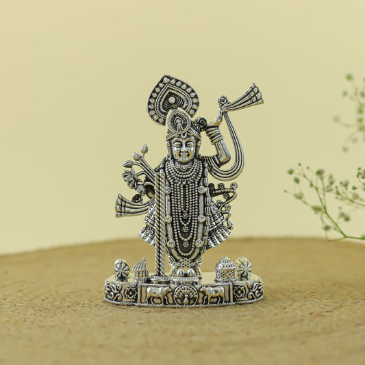 Shrinaath Ji Silver Idol