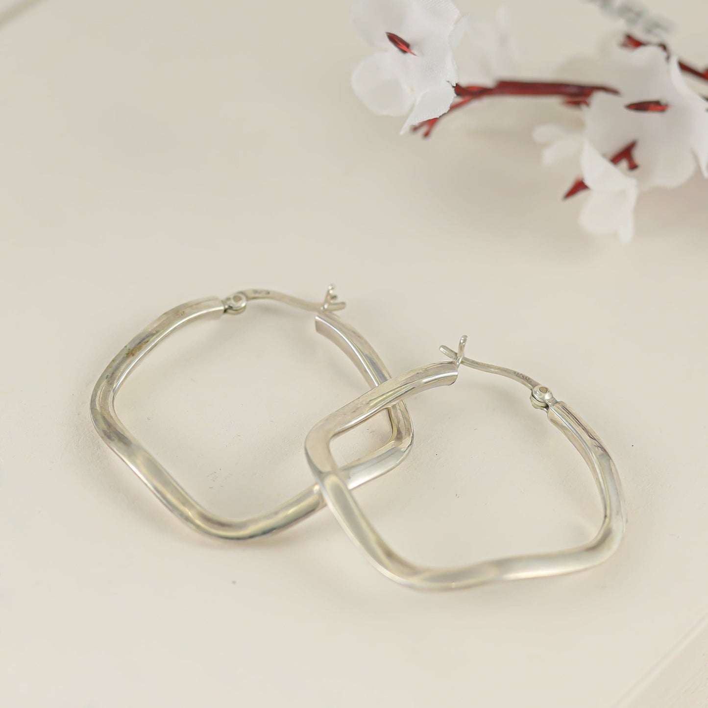 Aarna Beautiful Silver Earrings