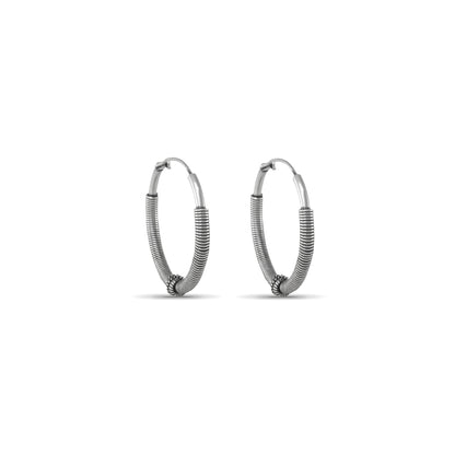 Alvira Splendid Silver Earrings